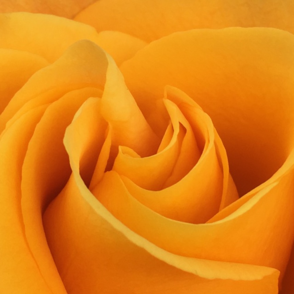 Meet your Posher, Marinda